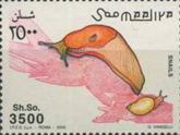 Foto für Internationaler Briefmarkenverein Rosenegg